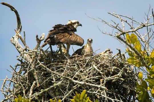 Tour image 6