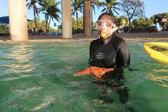 Tour image 4