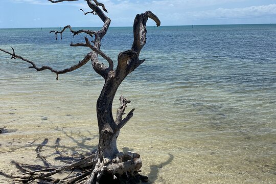 Tour image 14